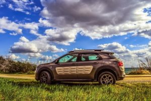 renting citroen