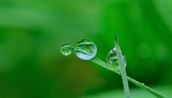 energia-renovable-hidrogeno-verde